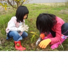 滋賀 / 親子で植樹と環境を考える