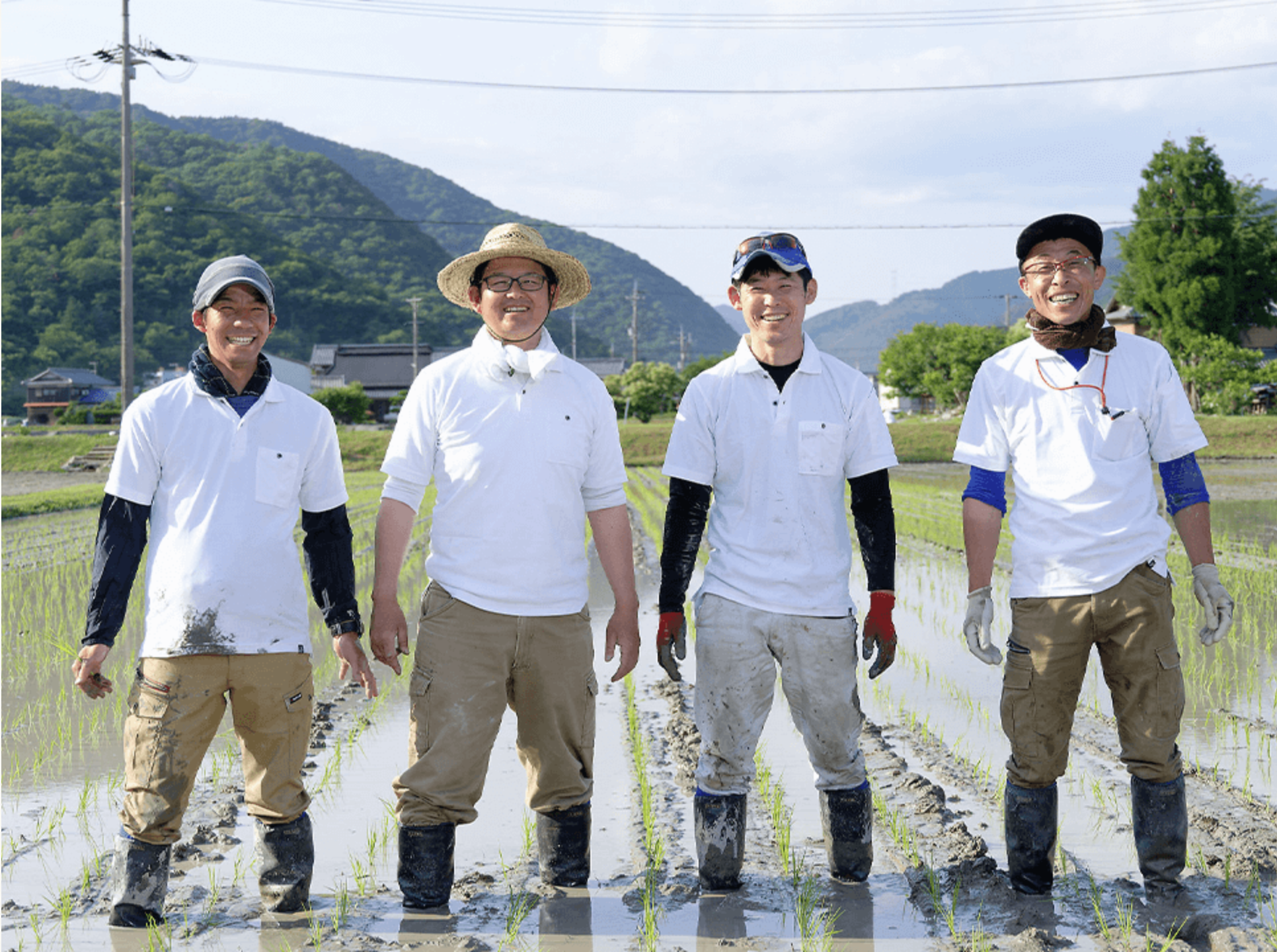 こばファーム