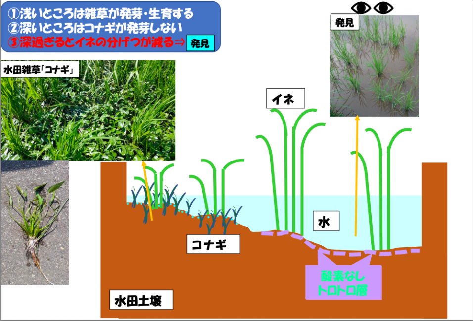 IMG_9572 | 秀明自然農法ネットワーク(SNN)