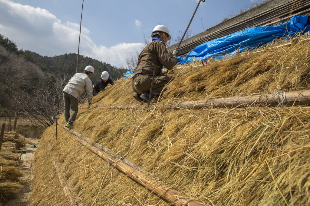 | 秀明自然農法ネットワーク(SNN)