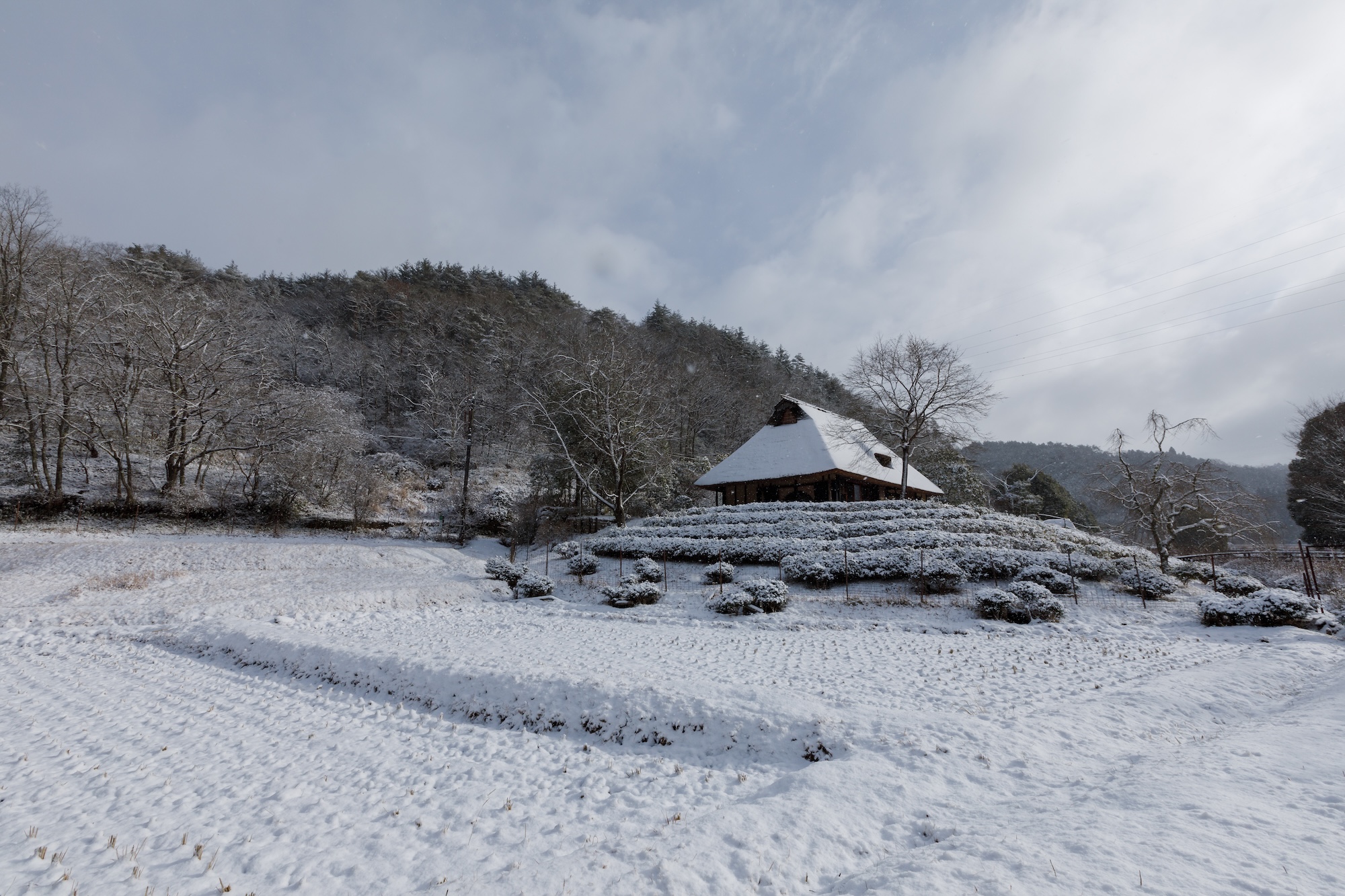 秀明自然農法ネットワーク（SNN）