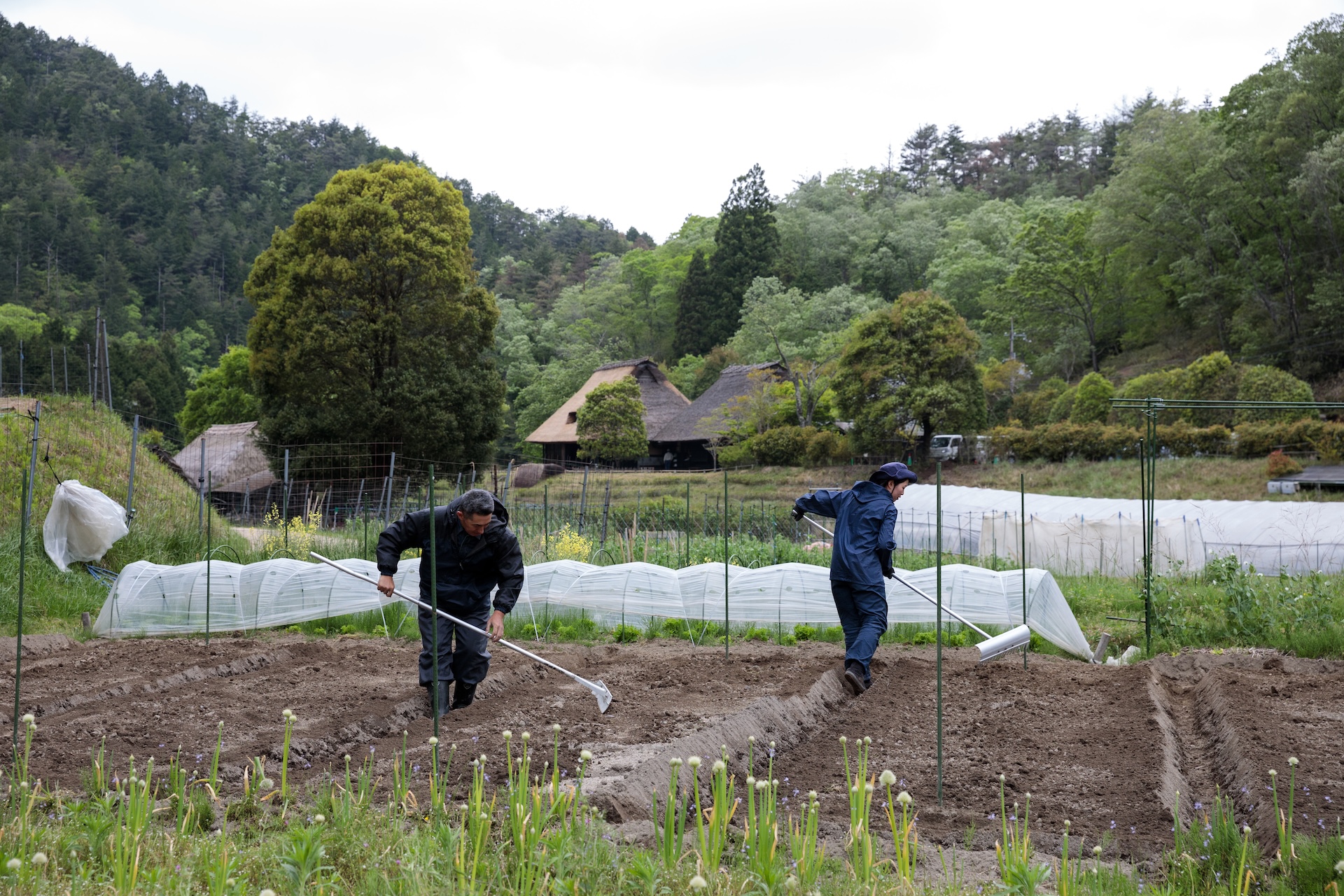 秀明自然農法ネットワーク（SNN）